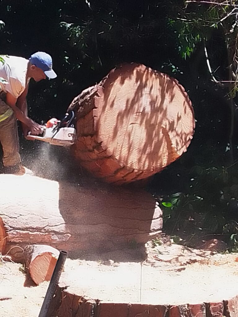 whatsapp image 2 1 pm