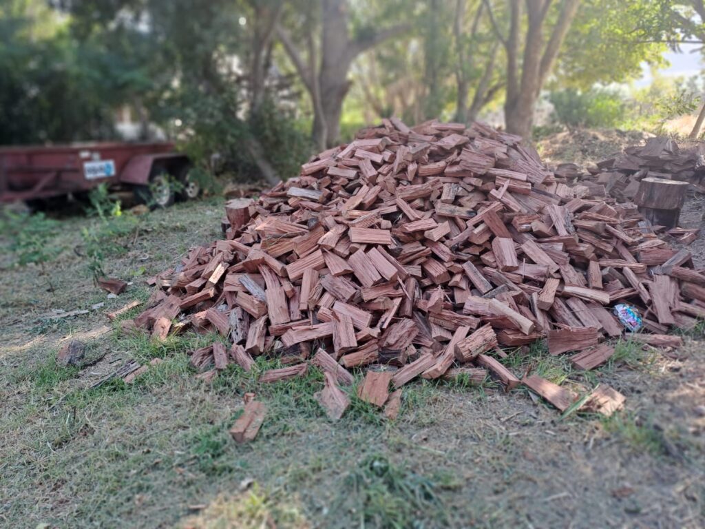 whatsapp image 2 8 at 7.52.06 pm