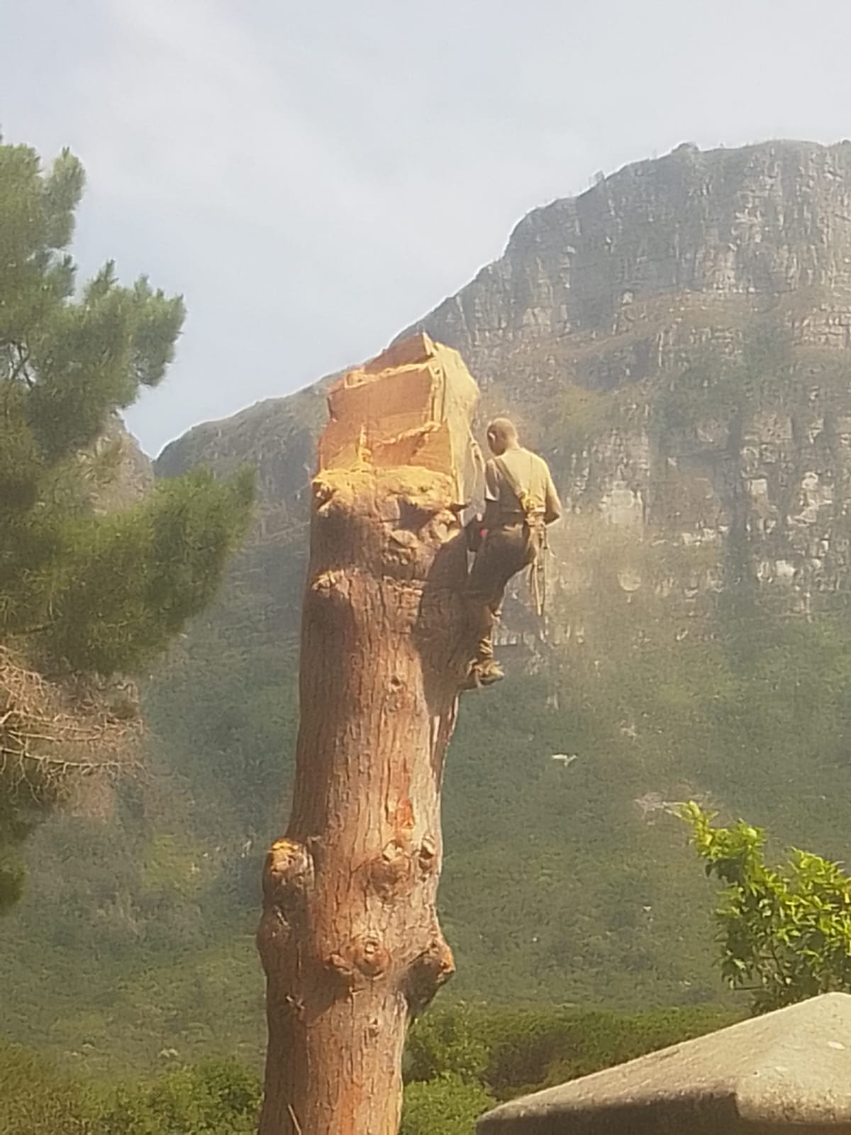 whatsapp image 2026 at 7.49.01 pm