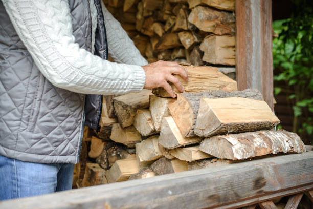 mature adult man carrying firewood
