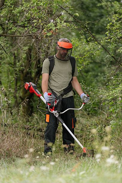 istockphoto 2227420218 612x612